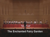 The Enchanted Fairy 