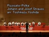 Pizzicato-Polka