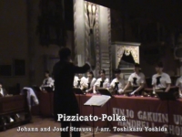 Pizzicato-Polka